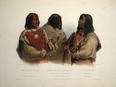 Jefe de los indios Blood, jefe de guerra de los indios Piekann y indio Koutani de Karl Bodmer